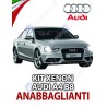 KIT XENÓN LUZ DE CRUCE ESPECÍFICO AUDI A4 B8