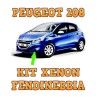 Kit Xenon Fendinebbia Peugeot 208