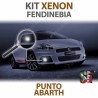 lampade luci kit xenon fendinebbia grande punto abarth 6000k h11 canbus lampadine luci illuminazione xenon