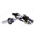 AOZOOM COPPIA LAMPADA XENON 5500k/6000k D2H