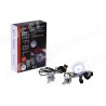 AOZOOM COPPIA LAMPADA FAST BRIGHT INTERNATIONAL XENON METAL