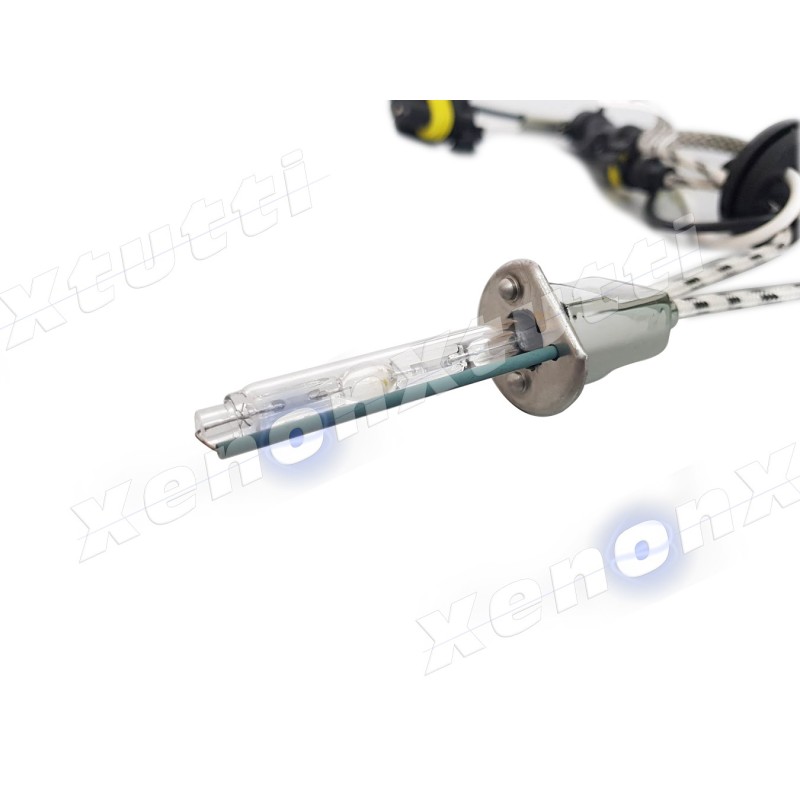 AOZOOM LAMPADE FBL XENON METAL h1