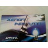 COPPIA LAMPADE H7R con schermatura