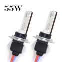 COPPIA DI LAMPADE 55 W AC