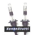 COPPIA  LAMPADE H1R CON SCHERMATURA