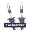 PAIR OF H1R LAMPS WITH SHIELDING
