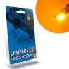 LAMPADE LED FRECCIA POSTERIORE per PEUGEOT 207 specifico serie TOP CANBUS
