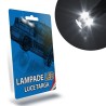 BOMBILLAS LED PARA LUZ DE MATRÍCULA para AUDI A3 (8P) / A3 (8PA) específicas serie TOP CANBUS