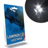 LAMPADE LED LUCI TARGA per CITROEN C2 specifico serie TOP CANBUS