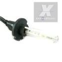 LAMPADE XENON D2H 4300K 5000K 6000K LAMPADA