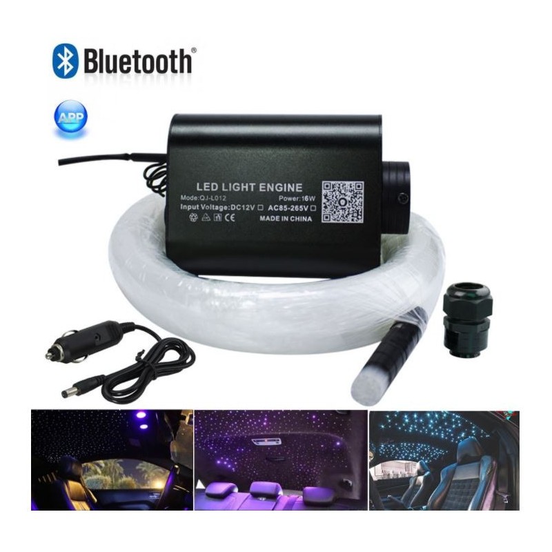 CHINLY Cielo stellato in fibra ottica per auto/soffitto, scintillio 16W  200pezzi * 0,75mm * 2m Bluetooth RGBW APP/Kit plafoniere in fibra ottica  LED