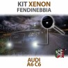 KIT XENON FENDINEBBIA per AUDI A6 (C6) specifico CANBUS