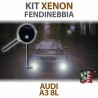KIT XENON FENDINEBBIA AUDI A3 8L SPECIFICO Canbus
