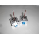 COPPIA LAMPADE D8S 6000K