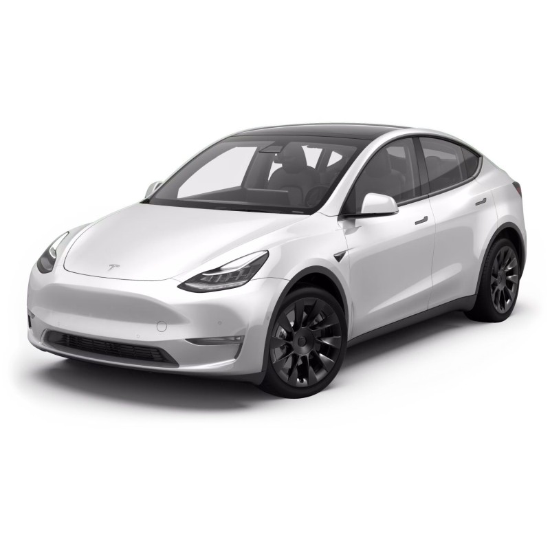 LAMPADE LED LUCI TARGA per TESLA Model Y specifico serie TOP CANBUS