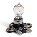 Lampada PH19W Alogena con Supporto Base Citroen Attacco 2515400066