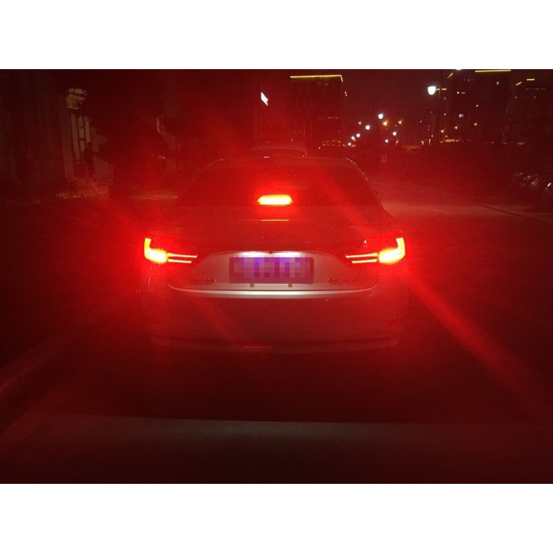 Luz de posición y freno LED CANBUS roja