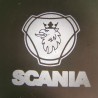 effetto Proiettore Logo LED Scania 24V per Portiera Fori Camion Automezzi