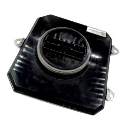 Centralina Tesla 113125199C 111079600D Modulo di Controllo Fari Ricambio