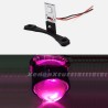 Un Pezzo di Devil Eve Viola Led  per Lenticolare Auto Moto 12V