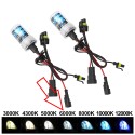 Coppia Lampade Xenon H7 PX26d 35W 6000k Base Plastica Ricambio Connettore AMP HID Ricambio