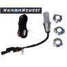 Lampada bixenon H6-3 BA20D con controller – H6-3 · 4300K