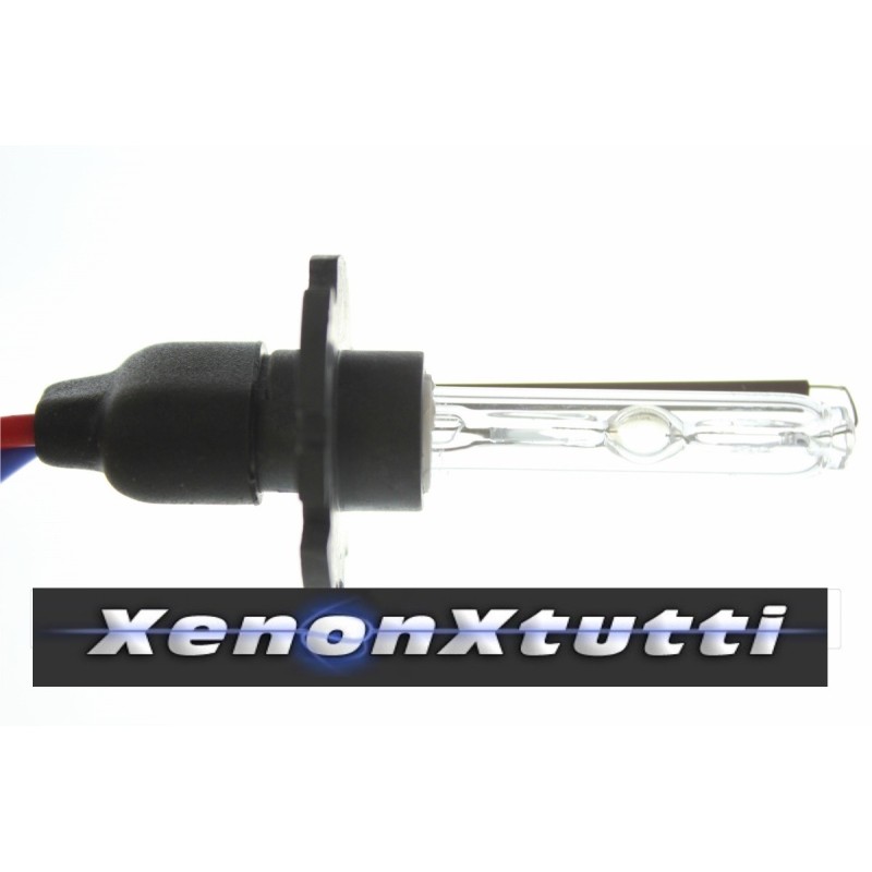 Par de lámparas Xenon D2H – 5000K