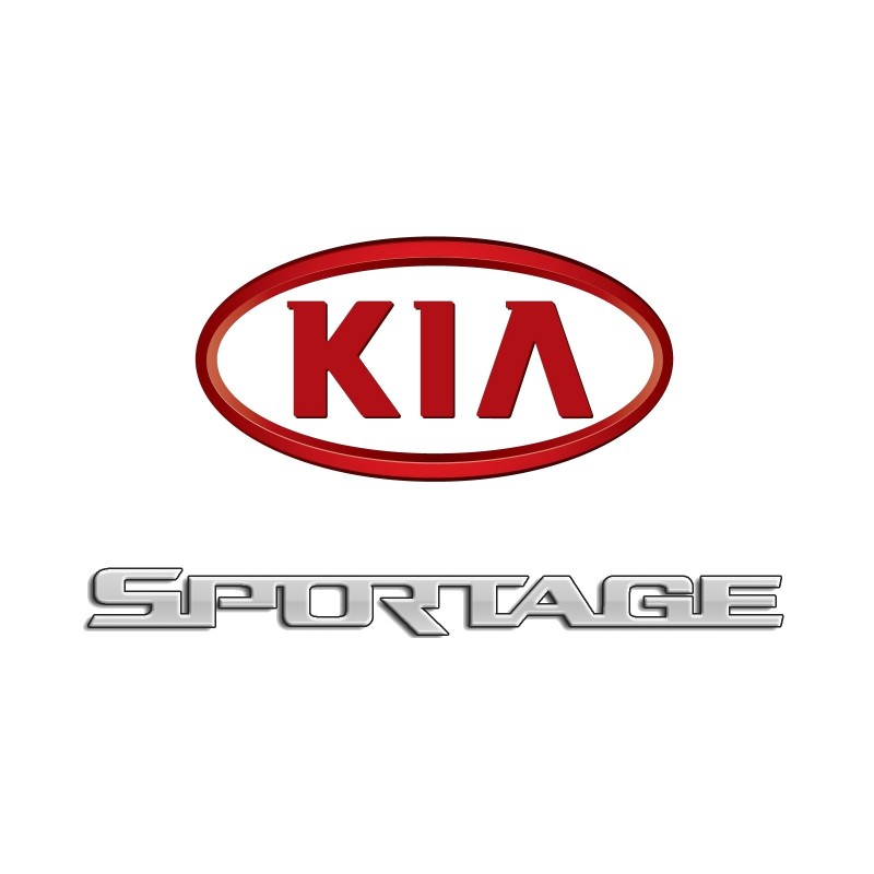HB4 9006 xenon fog-light bulbs for Kia Sportage IV QL with CANBUS – 4300K · HB4 9006 · XENON