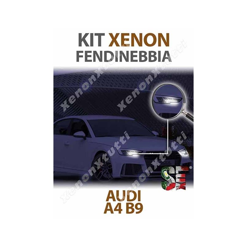 Bombillas Xenón Antiniebla H8 para AUDI A4 B9 (2015 en adelante) con tecnología CANBUS - 8000K