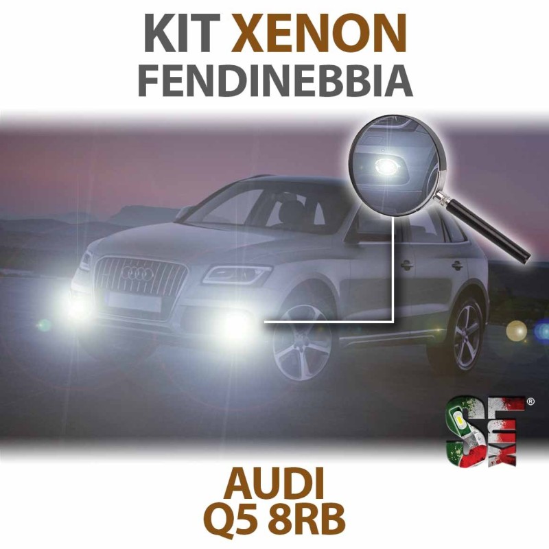 Lampade Xenon Fendinebbia H11 per AUDI Q5 8RB (2008 - 2017) con tecnologia CANBUS – 5000K