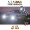 Xenon Fog Light Bulbs H11 for AUDI Q5 8RB (2008 - 2017) with CANBUS Technology - 10000K