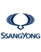 Lampadine Led auto per SSANGYONG, kit xenon, luci, bulbi, lampade Canbus Plug & Play