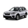 Forester IV