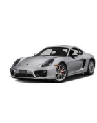 Kit led, kit xenon, luci, bulbi, lampade auto per PORSCHE Cayman (987) II
