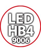Kit Luci Led HB4 9006 Auto Moto e Camion: Lampade Fari Anabbaglianti