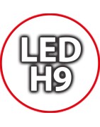 Kit Luci Led H9 per Auto Moto e Camion: Lampade per Fari Anabbaglianti