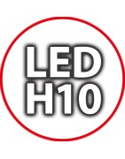 Kit Luci Led H10 per Auto Moto e Camion: Lampade per Fari Anabbaglia..