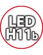 Kit Led 11b per Auto Moto e Camion: Lampade per Fari Anabbagliant A...