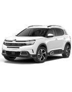 Kit led e kit xenon per Citroen C5 Aircross anabbaglianti abbaglianti